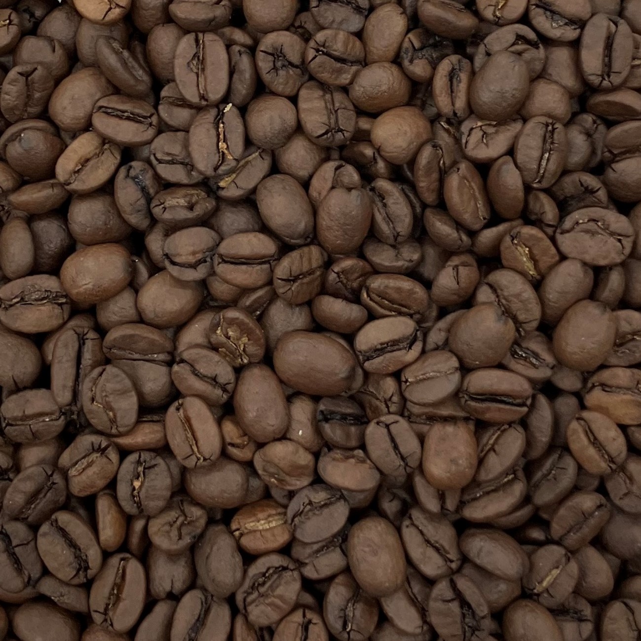 ブラジルNo.2ショコラ