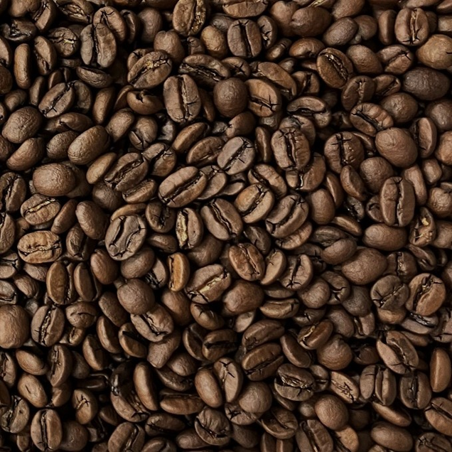 ブラジル セルトン農園 百年寿レッドブルボン