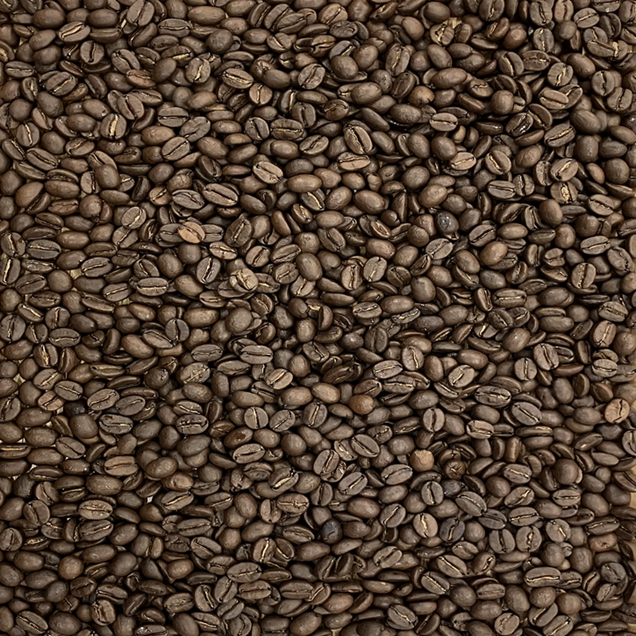 コロンビア エメラルドマウンテン【1月限定】