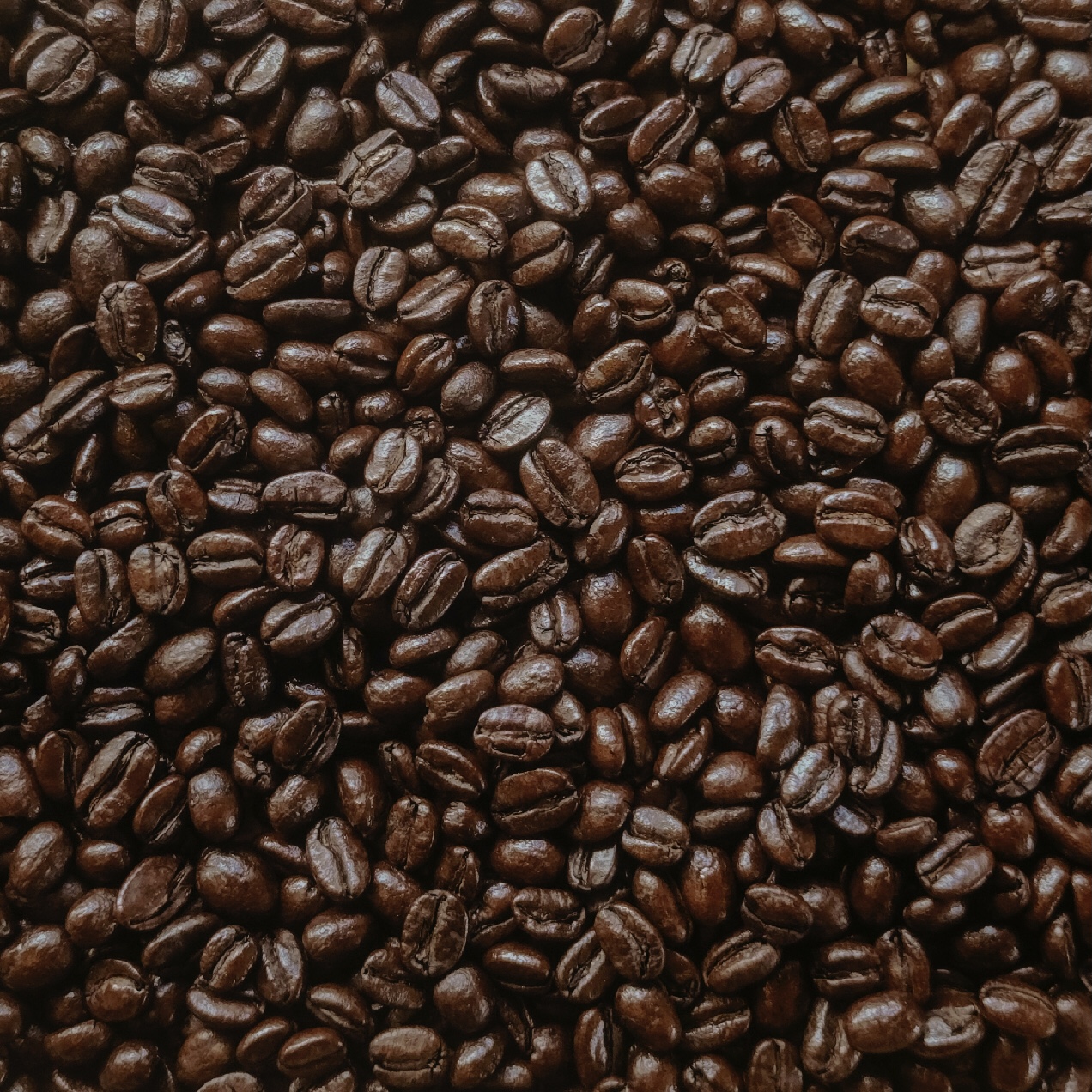 【数量限定】【デカフェ】エチオピア シャキッソ村 TADE GG農園 G3 ナチュラル