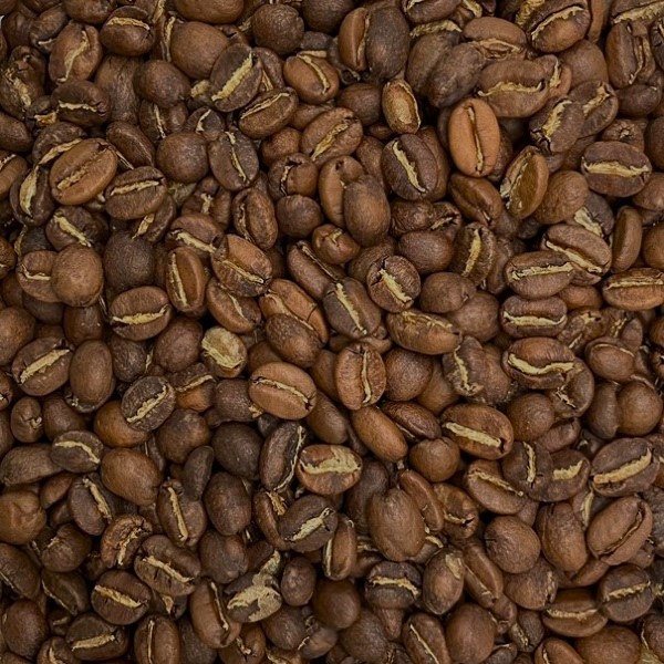 【Eliza】珈琲の輪郭セット 終了※セゾンウィッチ・ブルーベリー - KAMAKURA OGAWAKEN 鎌倉