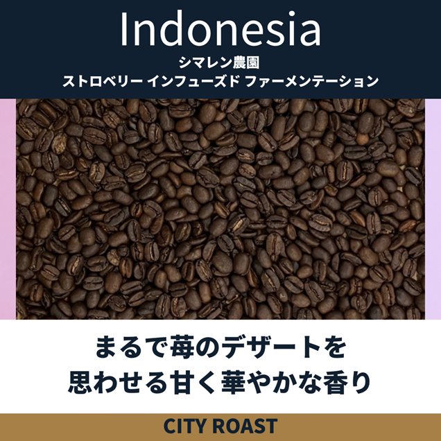 【12月までの限定】インドネシア シマレン農園 ストロベリー インフューズド ファーメンテーション