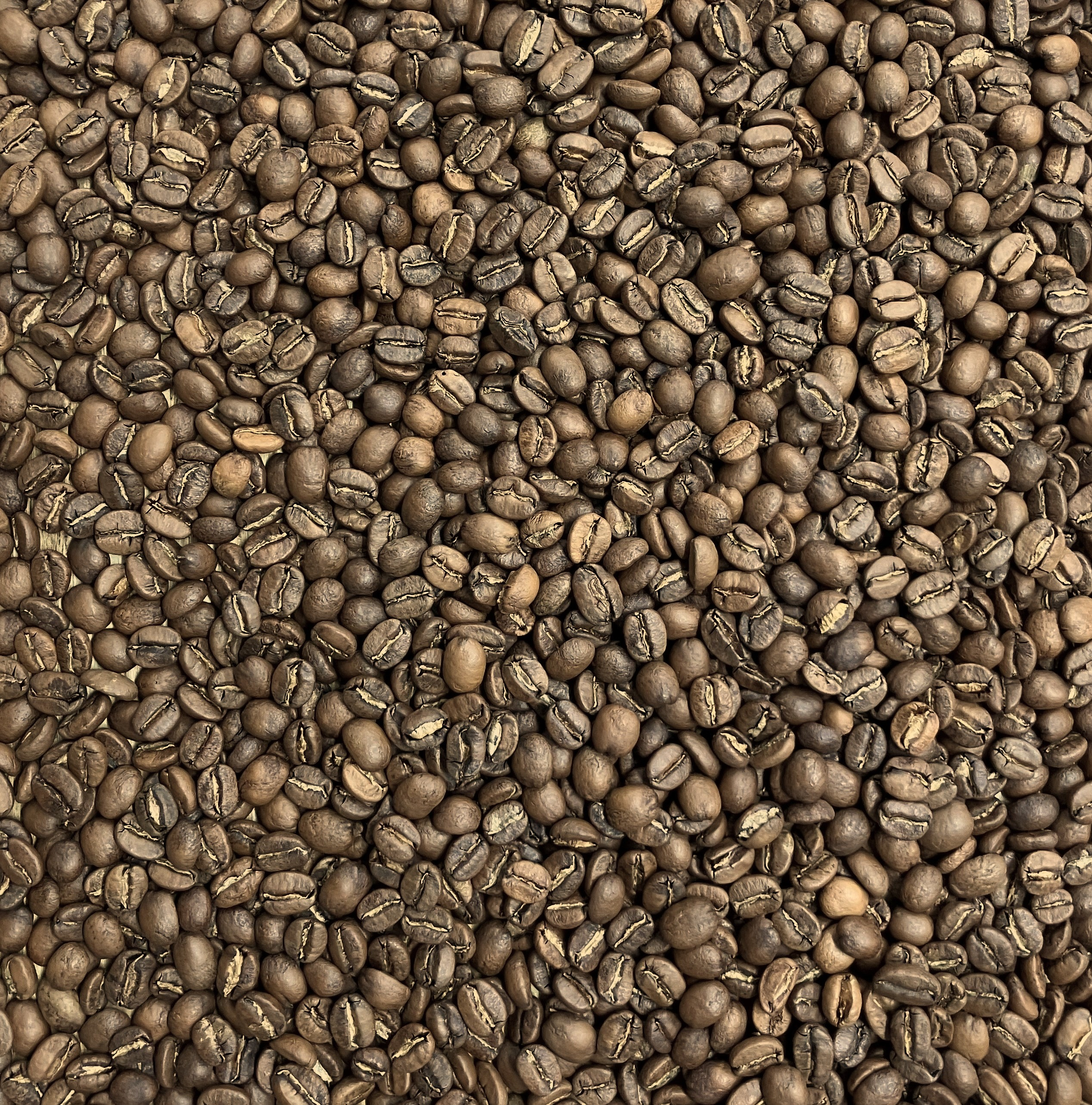 パナマ ラ・エスメラルダ ダイヤモンドマウンテン【1月限定】